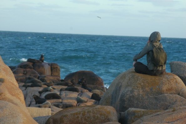 Cabo Polonio - Lauris ir Skudutis stebi ruonius