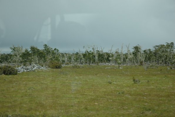 Pro furos langa vaziuojant i Punta Arenas
