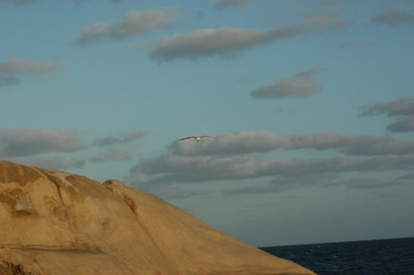 Cabo Polonio - zuvedra