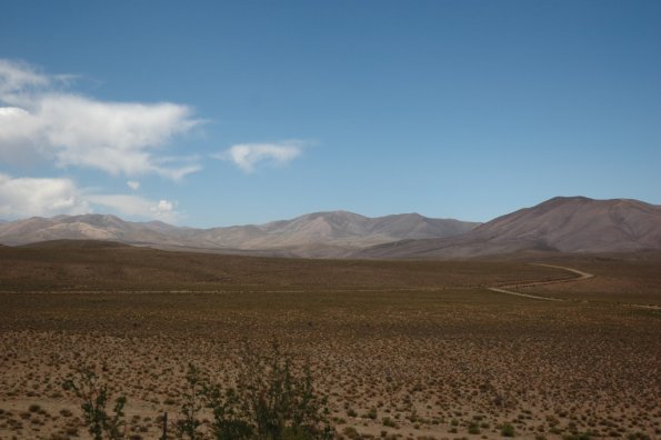 Siaures siaures Argentinoj