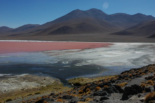 Laguna Colorada - spalvotas ezeras